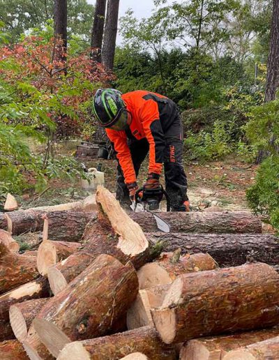 Holz auf Länge schneiden