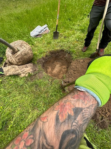 Baumpflege Rothe pflanzt einen Baum nach FLL-Qualitätsstandards und geeigneter Standortwahl