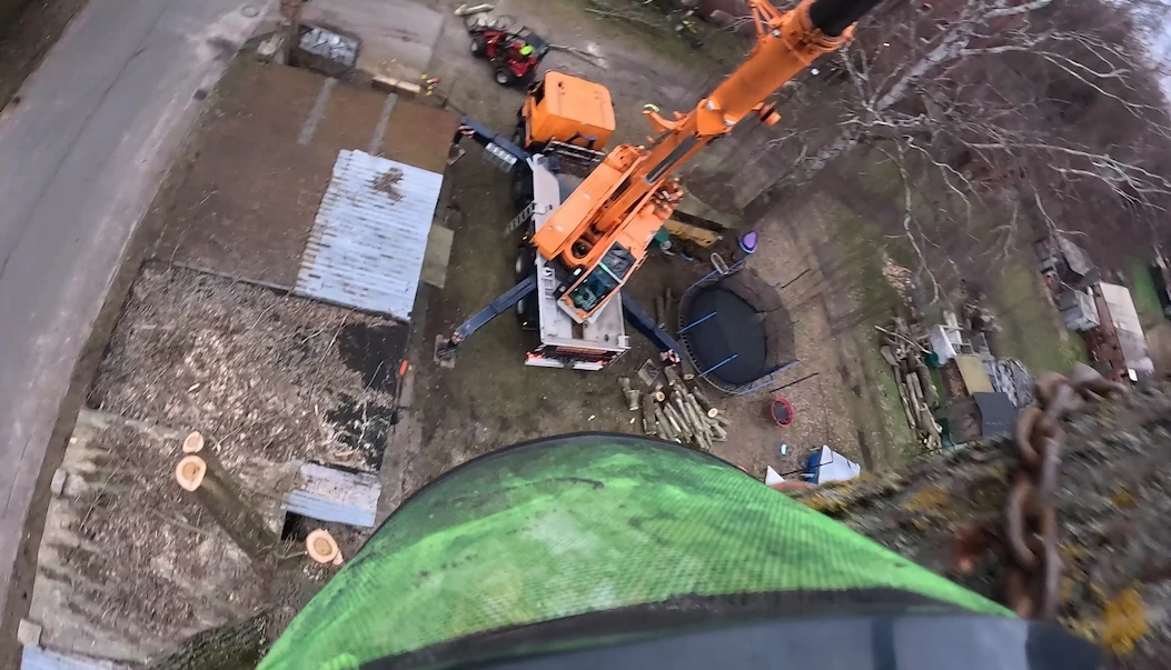 Baumfäller fällt einen Baum im Berliner Hinterhof per Seilklettertechnik, Stammteile werden über Hausdächer abtransportiert