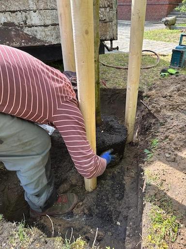 Baumpflege Rothe richtet einen Baum beim Pflanzen zwischen den Anbindungspfählen aus