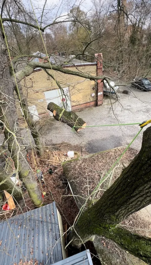 Stammteil wird beim Rigging über ein Gebäude hinweg zwischen zwei Ankerpunkten kontrolliert abgelassen