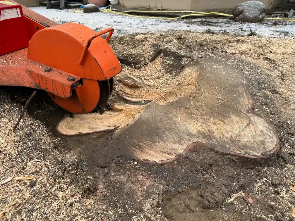 Fachgerechtes Stubbenfräsen durch Baumpflege Rothe Baumpflege Rothe entfernt einen Baumstumpf fachgerecht mit einer Stubbenfräse