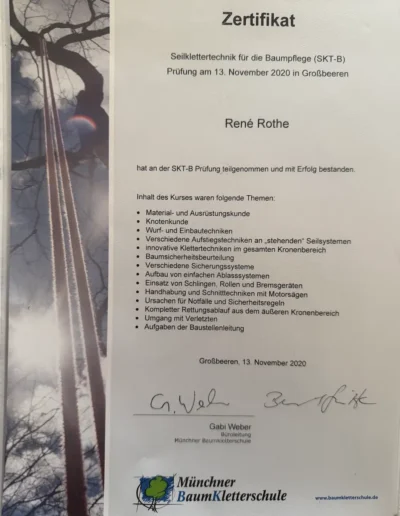 Zertifikat von René Rothe über die erfolgreich bestandene 40-stündige SKT-B-Ausbildung in Seilklettertechnik für die Baumpflege